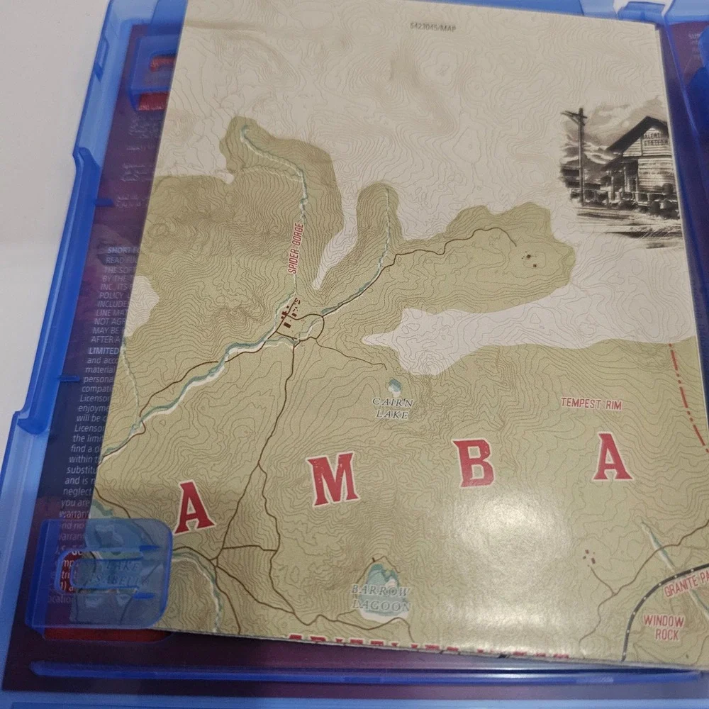 Rockstar Games Red Dead Redemption II 2 PS4 PlayStation 4 Two Disc Set with Map